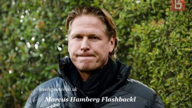 Marcus Hamberg Flashbackl