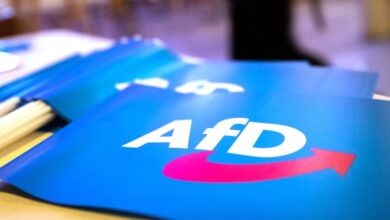 AfD Wahlplakate