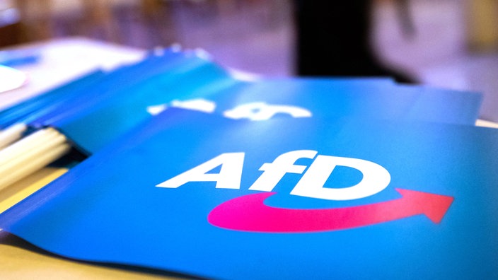 AfD Wahlplakate